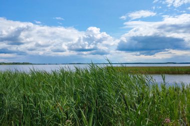 Güneşli bir günde küçük bir göl ya da nehir manzarası.