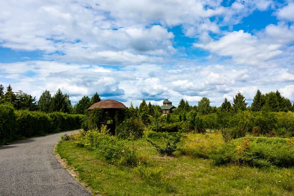 Prachtig uitzicht op een groen park in de lente of zomer, blauwe lucht met witte wolken. — Stockfoto