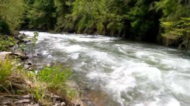 Güneşli bir günde kayaların arasından akan hızlı dağ nehri. Soğuk dağ suyu taşların arasından akar..