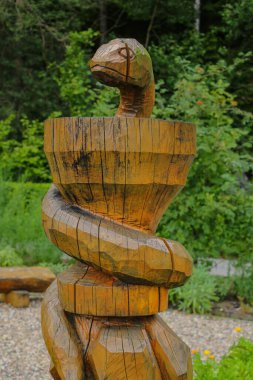 Eczanenin sembolü, eczanenin, ilaçların ve ilaçların antik bir işaretinin ayrıntıları.