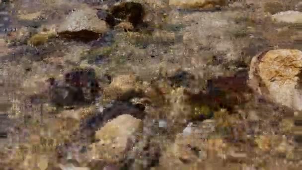 Primer Plano Del Agua Que Fluye Sobre Las Piedras Día — Vídeo de stock