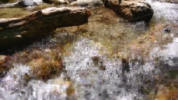 Acqua Pura Scorre Tra Pietre Potente Flusso Fiume Montagna Vicino — Video Stock