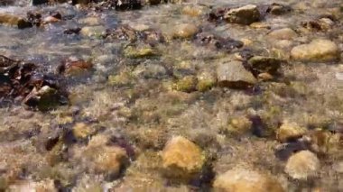 bir dağ nehir taşları üzerinde su akar.