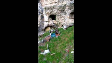Ana akbabanın yemek yediği yakın plan çekimde, kalan akbabalar sırayla bekliyor..