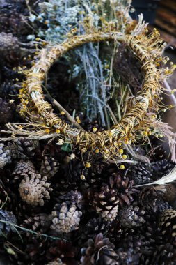 Bitkiler ve bitkiler geleneksel tıpta kullanılır.