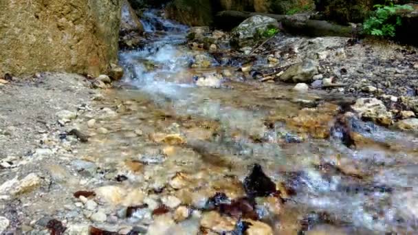 小さな渓流の山の岩を横断する — ストック動画