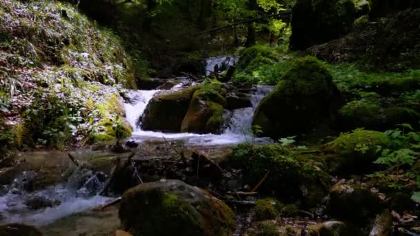 岩や緑に囲まれた小さな隠された滝の風景 — ストック動画