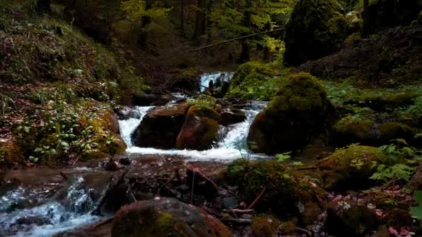 沿着山河溪流的绿 湿石子和岩石 有许多弯弯曲曲的瀑布和瀑布 周围环绕着茂密的森林植被 — 图库视频影像