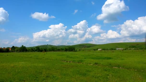 Landskap Gröna Gräs Fält Blå Himmel Med Vita Moln Time — Stockvideo