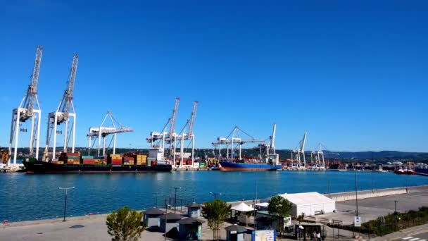 Drukke Containerhaven Ochtend Grote Industriële Haven Kranen Vrachtschepen — Stockvideo