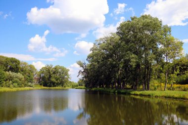 Gölde ya da nehirde ağaçların ve bulutların yansıması. Güneşli yaz günü