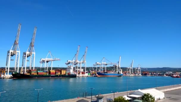 Containerschip Import Export Business Logistiek Transport Wereldwijd Containervrachtschip Terminal Haven — Stockvideo