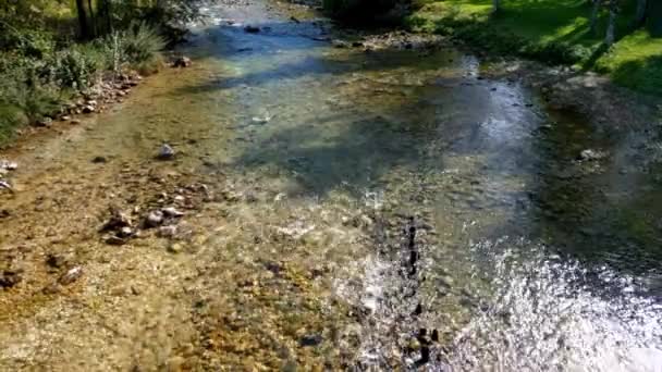 Όμορφο Μικρό Ορεινό Ποτάμι Στη Σλοβενία Φθινόπωρο Τοπίο — Αρχείο Βίντεο