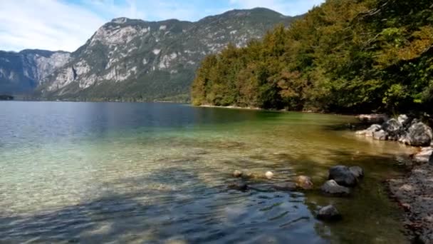 Paysage Automne Vue Pittoresque Sur Lac Bohinj Slovénie — Video