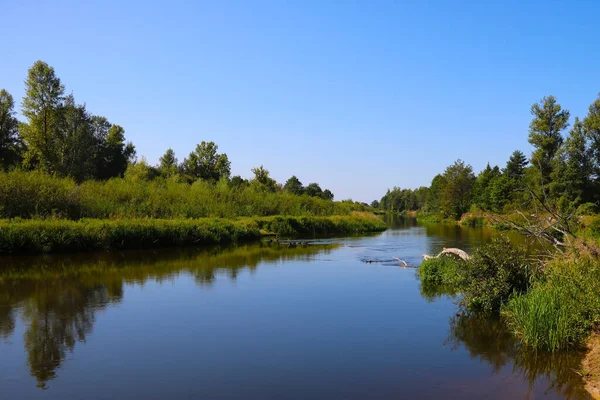 晴れた夏の日には 曲がりくねった浅い川 — ストック写真