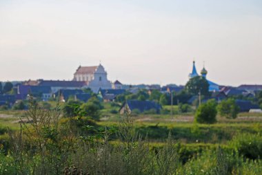 Çayırdaki yeşilliğin görüntüsü, arka planda, odak kırsal alanının dışında