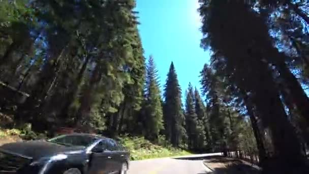 カリフォルニアのヨセミテをドライブしてください。ヨセミテ国立公園. — ストック動画