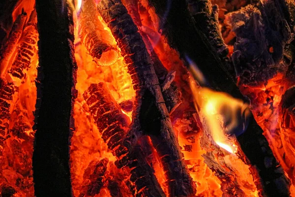 炎の中の棒に火をつける曇りの春の日 — ストック写真