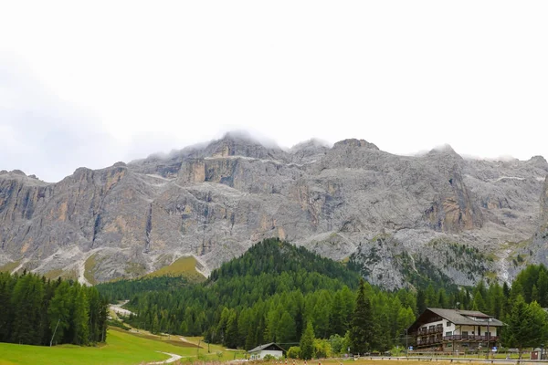 Droga Wiejska Zielonej Dolinie Alpejskiej Dolomity Włochy — Zdjęcie stockowe