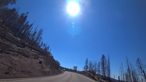 Viaggiando Attraverso Yosemite Valley Yosemite National Park California Stati Uniti — Video Stock