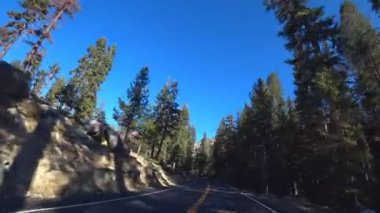 Yosemite Ulusal Parkı, Kaliforniya 'da otoyolda araba sürüyor..