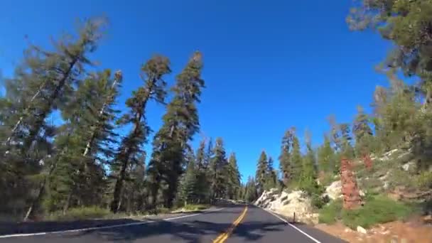 ヨセミテプレートバレー森林 カリフォルニア アメリカ — ストック動画