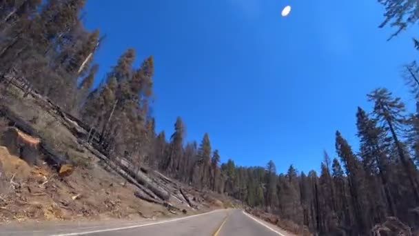캘리포니아주 요세미티 공원에 요세미티 계곡을 통과하는 — 비디오