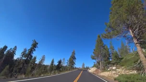 Δρόμος Μέσα Στο Εθνικό Πάρκο Γιοσέμιτι Καλιφόρνια Ηπα — Αρχείο Βίντεο