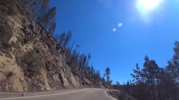 Fahrt Durch Den Yosemite Eine Wunderschöne Kurvenreiche Straße Durch Einen — Stockvideo