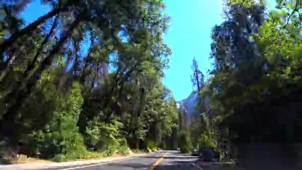 Οδηγήστε Μέσα Από Πυκνό Δάσος Μια Ηλιόλουστη Μέρα Στο Yosemite — Αρχείο Βίντεο