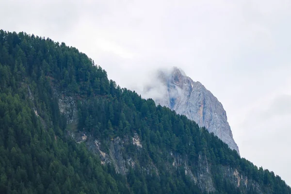 Wald Und Gebirgslandschaft Den Dolomiten Italien Europa — Stockfoto