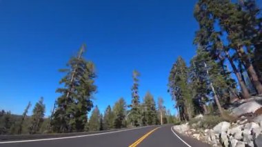 Yoğun bir ormanda California, Yosemite 'de güneşli bir günde araba sürmek..