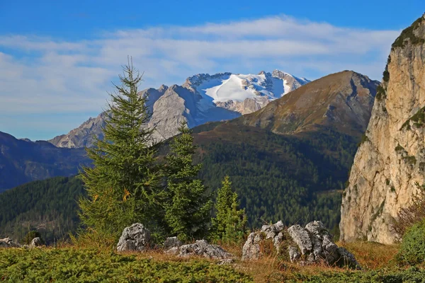 Dolomiten Und Wälder Dolomiten Italien Europa — Stockfoto