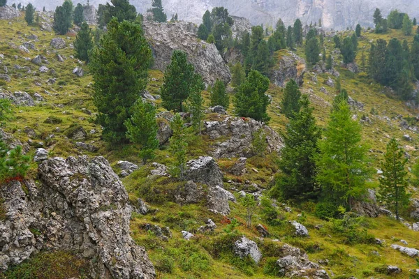 Die Dolomiten Sind Ein Gebirge Nordosten Italiens Sie Bilden Einen — Stockfoto