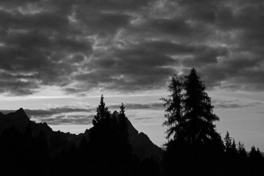 Dağların ve ağaçların tepelerinin mistik manzarası. Siyah beyaz fotoğraf. Seçici odak