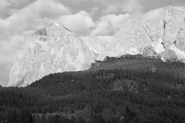 Vue Sur Les Dolomites Italie Premier Plan Trouve Une Forêt — Photo