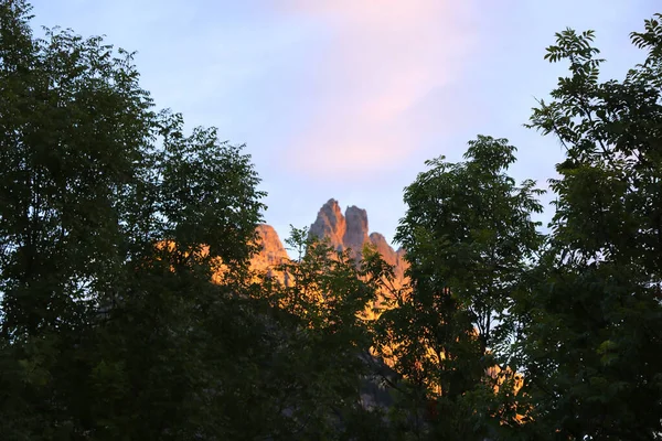 Popředí Vegetace Zelené Stromy Pozadí Vrchol Dolomitské Hory Osvětleno Východem — Stock fotografie