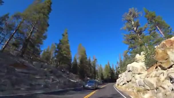 Fahrt Durch Den Yosemite Eine Wunderschöne Kurvenreiche Straße Durch Einen — Stockvideo