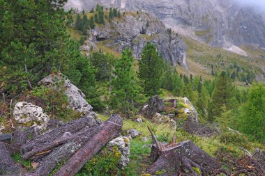İtalya 'nın Dolomitler bölgesindeki sisli dağ manzarası