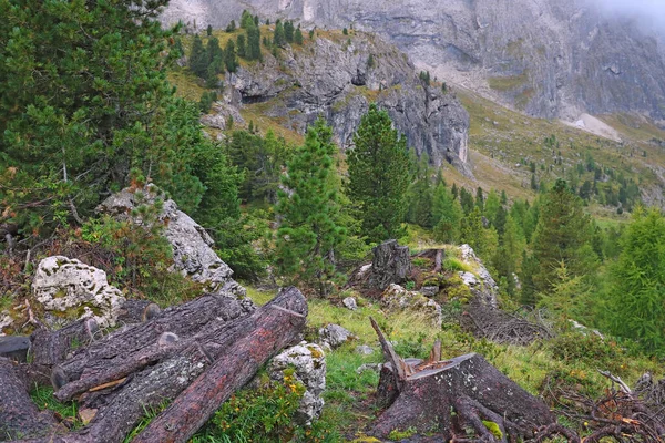 Nebelige Berglandschaft Den Dolomiten Italien — Stockfoto