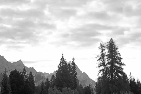 Foggy Paysage Montagne Dans Les Dolomites Italie Concentration Sélective — Photo