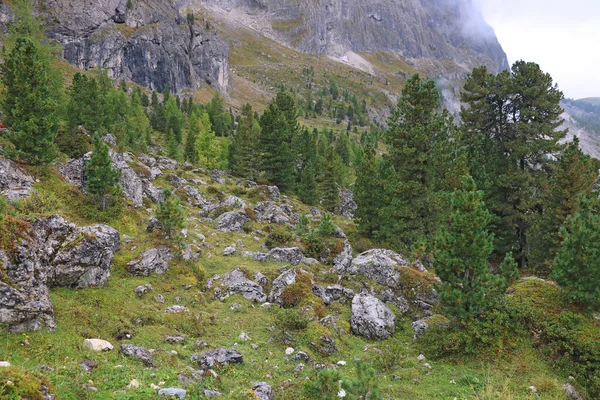 Nebelige Berglandschaft Den Dolomiten Italien Selektiver Fokus — Stockfoto