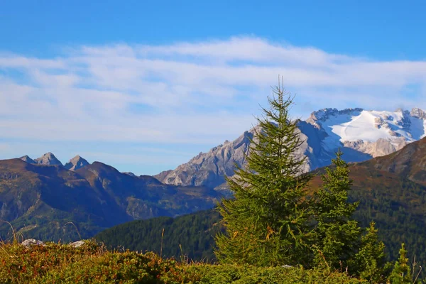 Schöne Sommerlandschaft Fantastischer Alpenpass Und Hohe Berge Dolomiten Italien Europa — Stockfoto