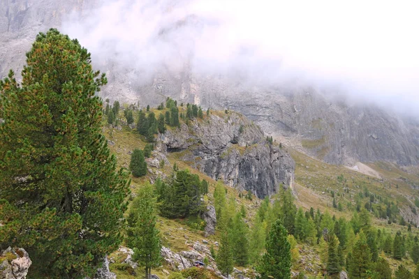 Picos Das Dolomitas Itália Estão Cobertos Nevoeiro Manhã Nevoeiro Molhada — Fotografia de Stock