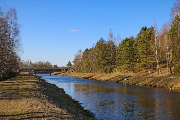 Dlouhá Řeka Obklopená Stromy Přes Most — Stock fotografie