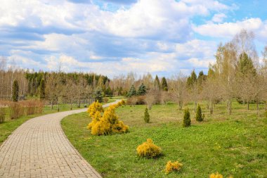Güneşli bir günde yeşil bir parkta yürüyorum.