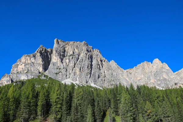 Dolomiten Und Wälder Dolomiten Italien Europa Unscharf — Stockfoto