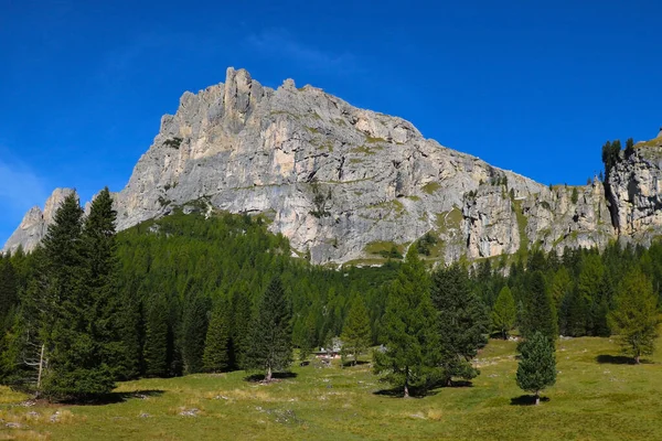 Dolomite Mountains Forest Dolomites Itália Europa Fora Foco — Fotografia de Stock