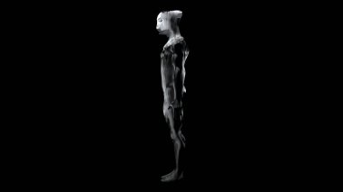 Cyborg whith karbon açık 5 baş