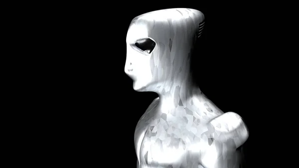 Cyborg gümüş whith karbon ışık 11